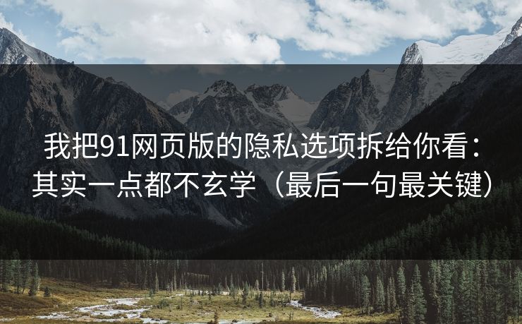 我把91网页版的隐私选项拆给你看：其实一点都不玄学（最后一句最关键）