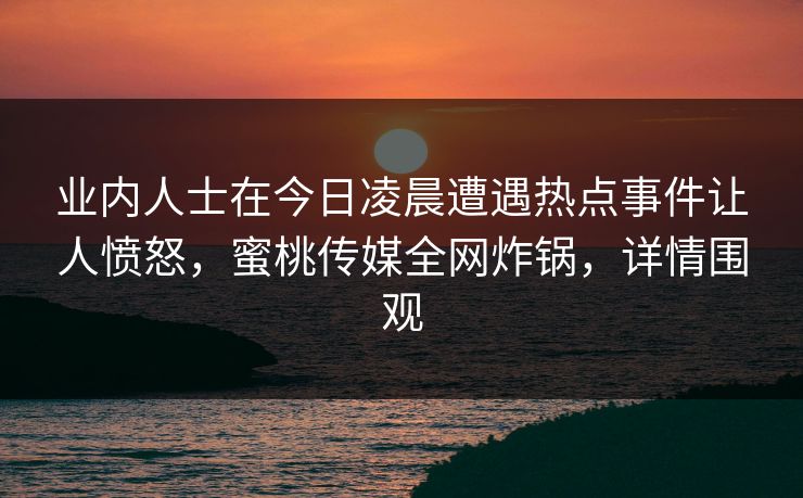 业内人士在今日凌晨遭遇热点事件让人愤怒，蜜桃传媒全网炸锅，详情围观
