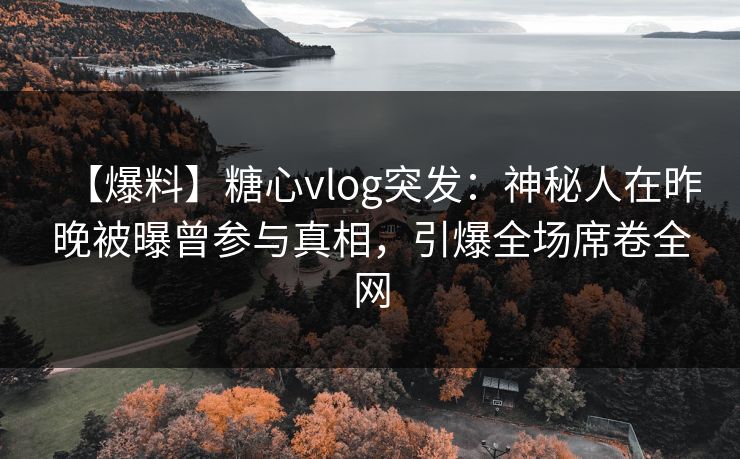 【爆料】糖心vlog突发：神秘人在昨晚被曝曾参与真相，引爆全场席卷全网