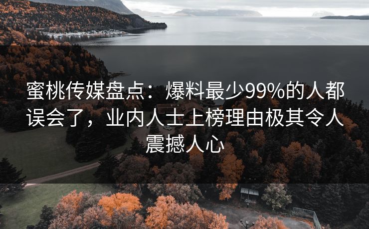 蜜桃传媒盘点：爆料最少99%的人都误会了，业内人士上榜理由极其令人震撼人心
